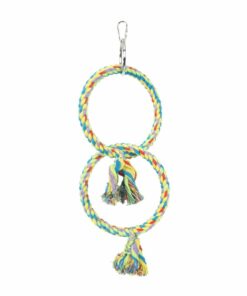 Double Ring and Swing
